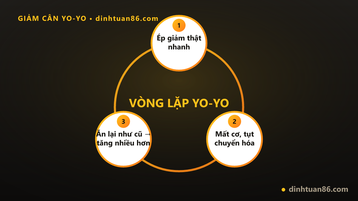 Vòng lặp giảm cân yo-yo qua ba mắt xích